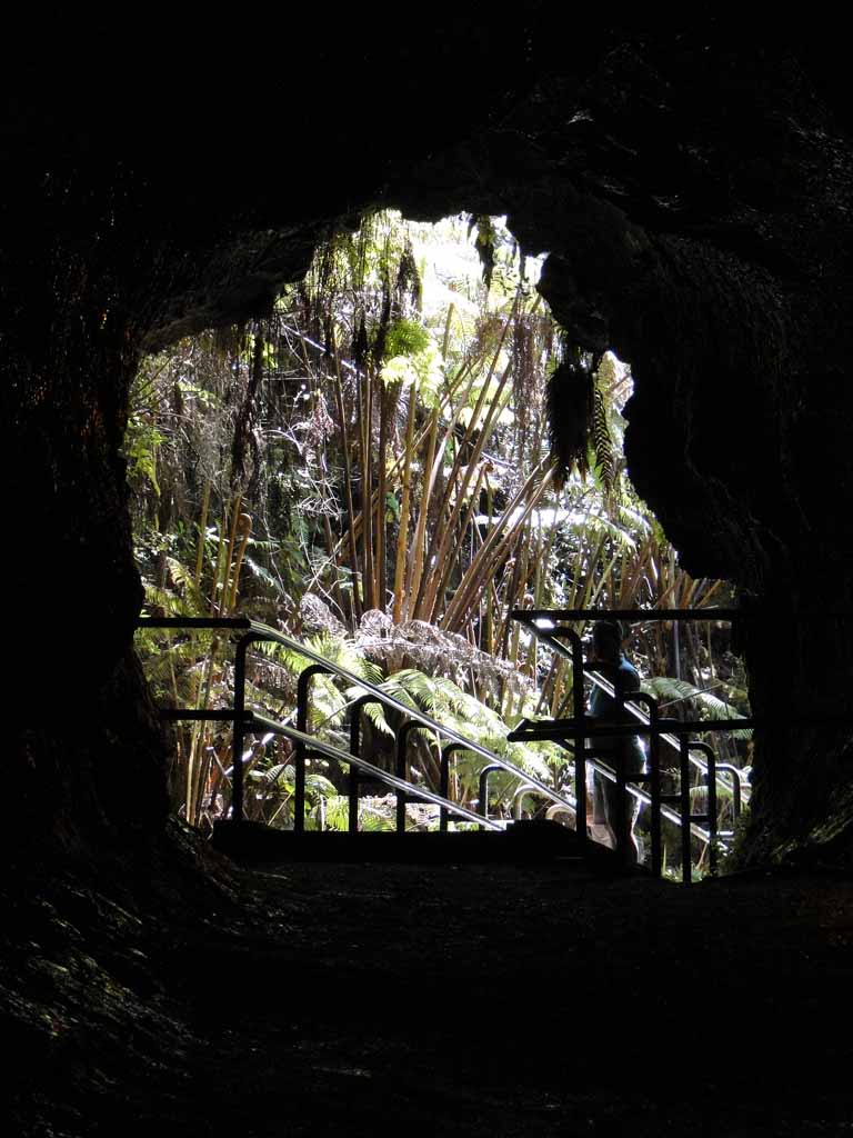 281: Carnival Spirit, Hilo, Hawaii, Volcanoes National Park, Thurston Lava Tube