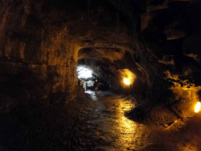 285: Carnival Spirit, Hilo, Hawaii, Volcanoes National Park, Thurston Lava Tube