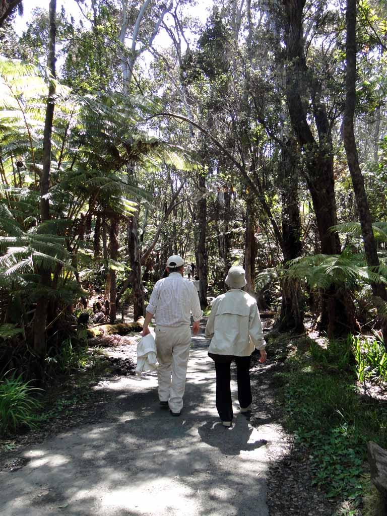 288: Carnival Spirit, Hilo, Hawaii, Volcanoes National Park, Thurston Lava Tube