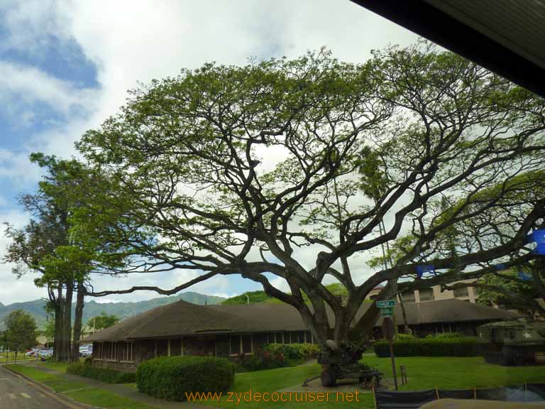 170: Carnival Spirit, Honolulu, Hawaii, Pearl Harbor VIP and Military Bases Tour, Tropic Lightning Museum, 