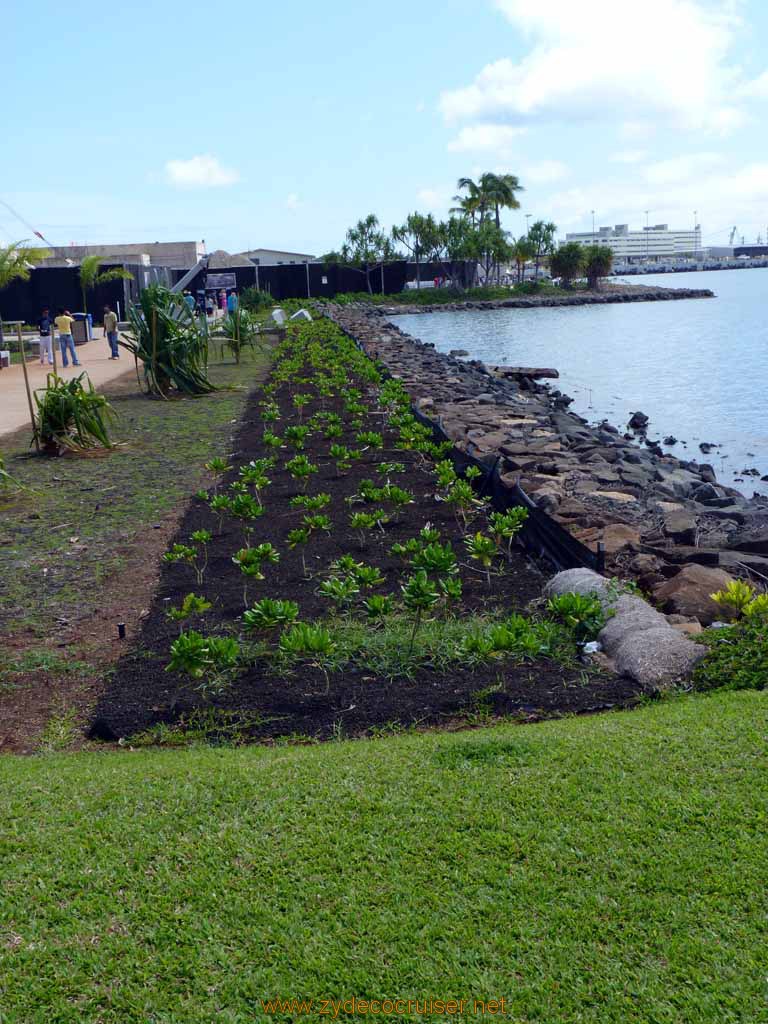 307: Carnival Spirit, Honolulu, Hawaii, Pearl Harbor VIP and Military Bases Tour, 