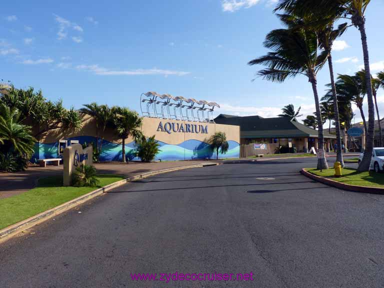 370: Carnival Spirit, Kahului, Maui, Maui Ocean Center