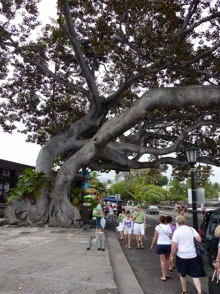 083: Carnival Spirit Cruise, Kailua-Kona, 