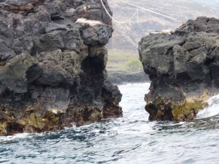 353: Carnival Spirit, Kailua-Kona, Captain Zodiac