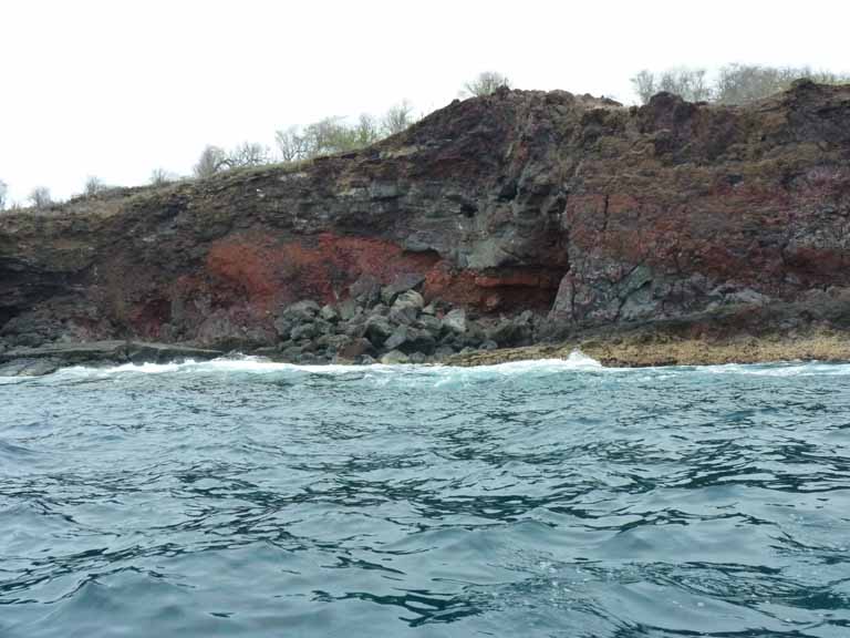 389: Carnival Spirit, Kailua-Kona, Captain Zodiac