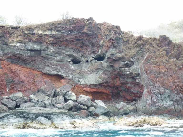 390: Carnival Spirit, Kailua-Kona, Captain Zodiac