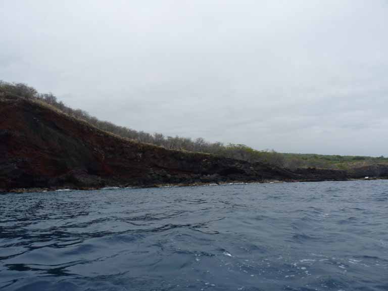 392: Carnival Spirit, Kailua-Kona, Captain Zodiac