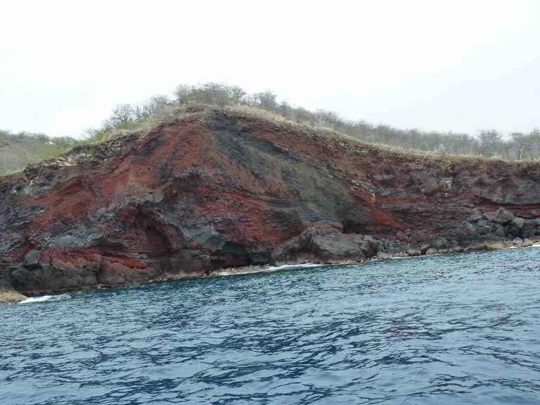 395: Carnival Spirit, Kailua-Kona, Captain Zodiac