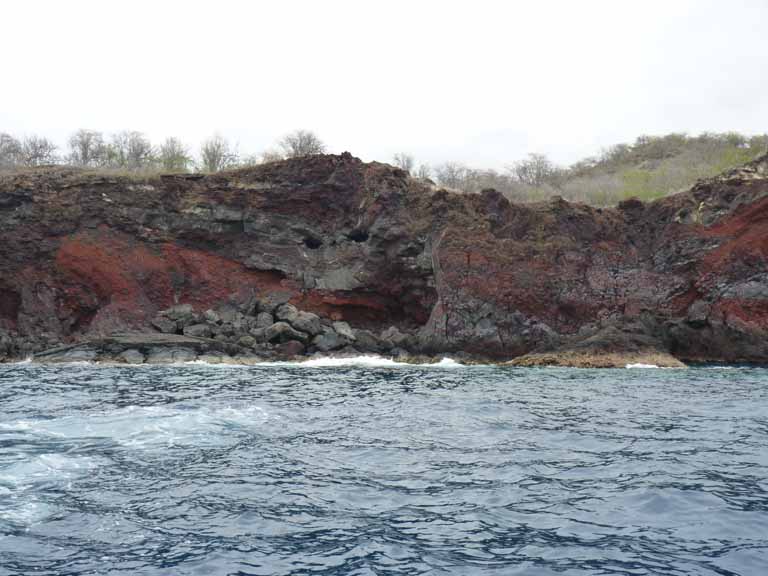 396: Carnival Spirit, Kailua-Kona, Captain Zodiac