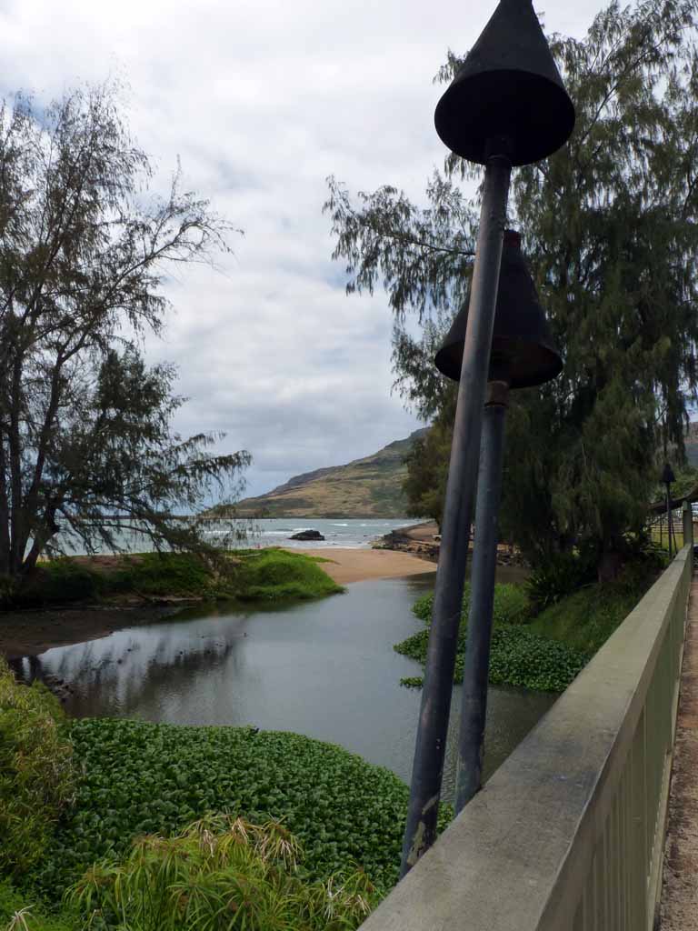 035: Carnival Spirit, Nawiliwili, Kauai, Hawaii, 