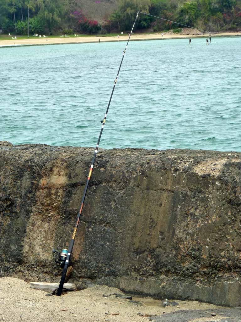 058: Carnival Spirit, Nawiliwili, Kauai, Hawaii, Fishing near Kalapaki Beach