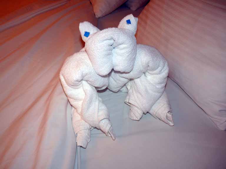 152: Carnival Spirit, Sea Day 3 - Towel animal