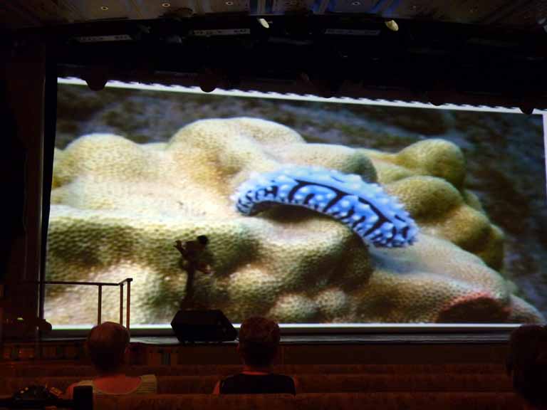 058: Carnival Spirit, Sea Day 4 - From Naturalist's Dirk's talk on Coral Reefs and Fishes and things