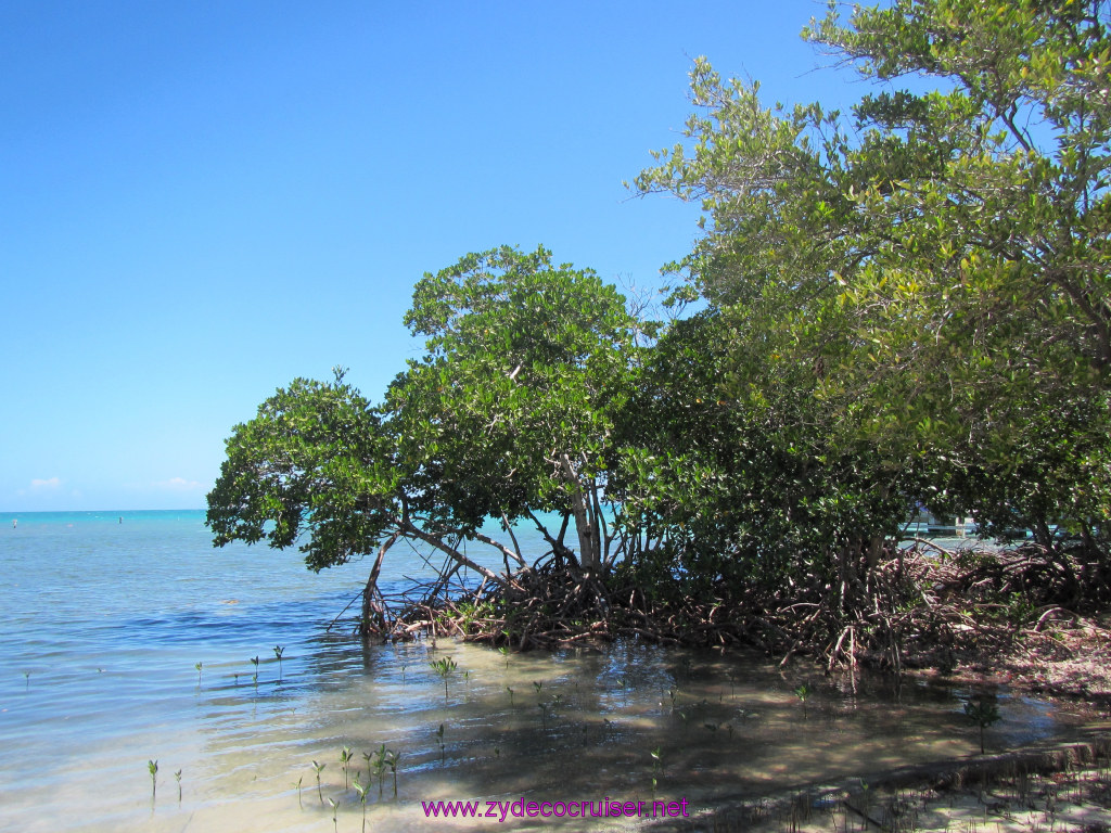 079: Carnival Sunshine, John Heald's Bloggers Cruise, BC7, Belize, Sergeant's Cay Snorkel Adventure