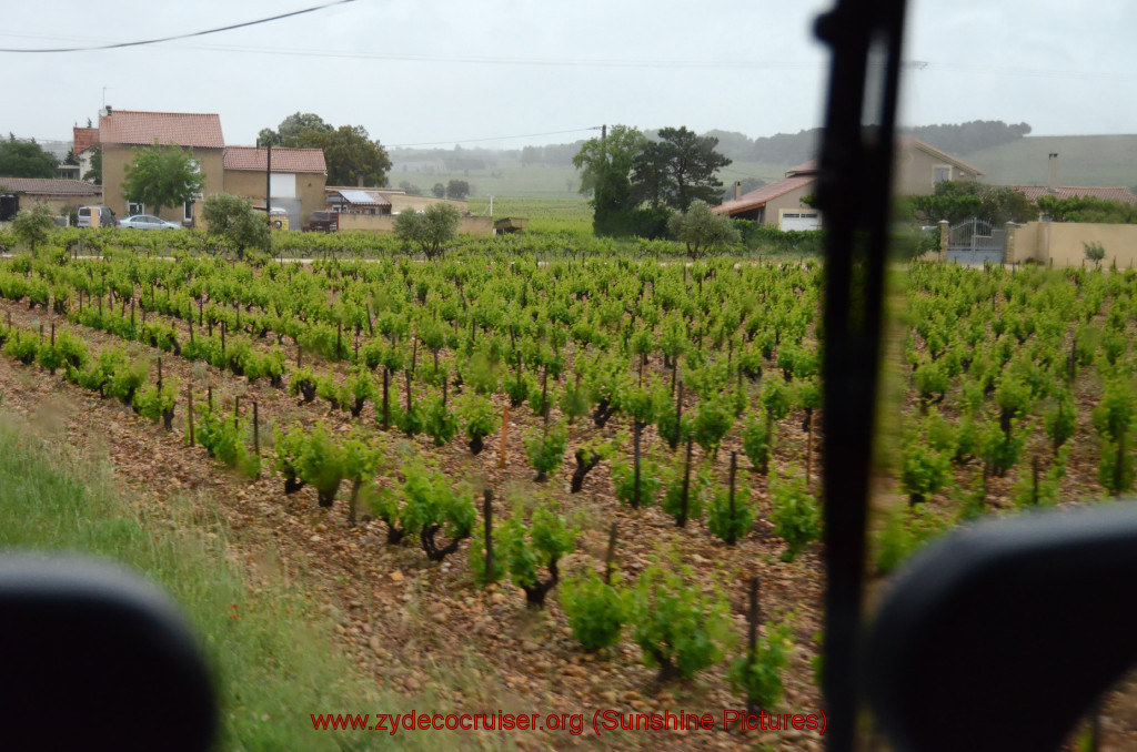 095: Carnival Sunshine Cruise, Marseilles, Châteauneuf Du Pape & Avignon Tour, Chateauneuf du Pape Vineyards, 