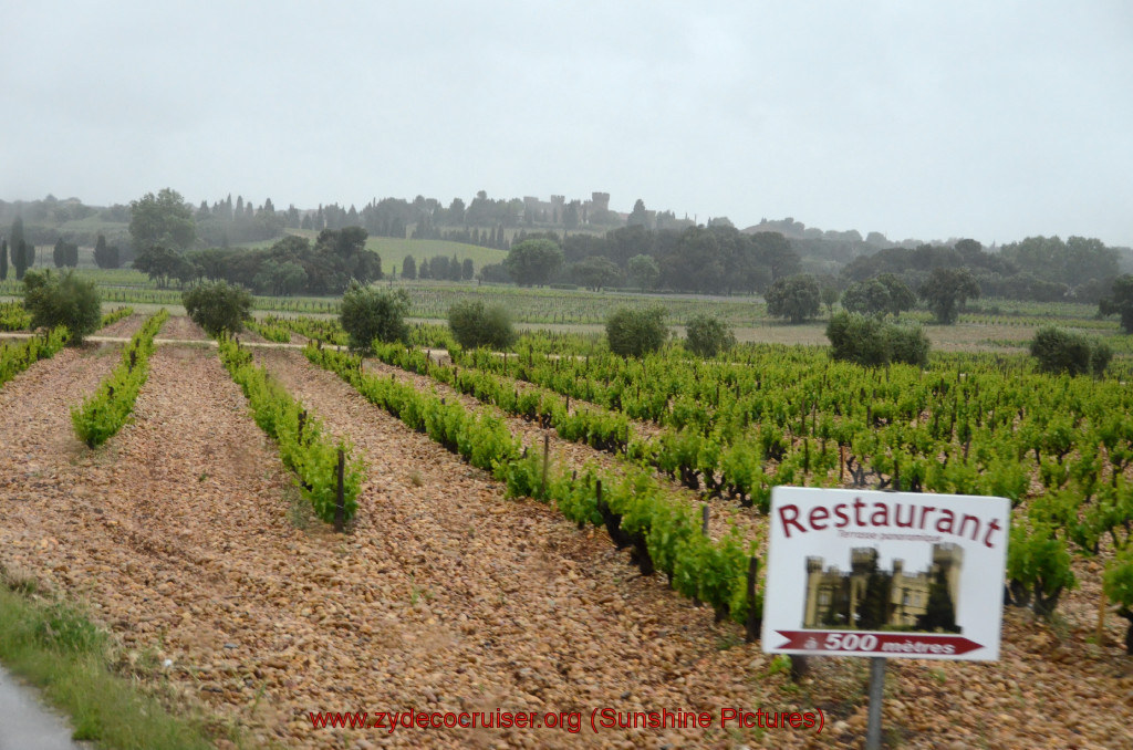 096: Carnival Sunshine Cruise, Marseilles, Châteauneuf Du Pape & Avignon Tour, Chateauneuf du Pape Vineyards, 