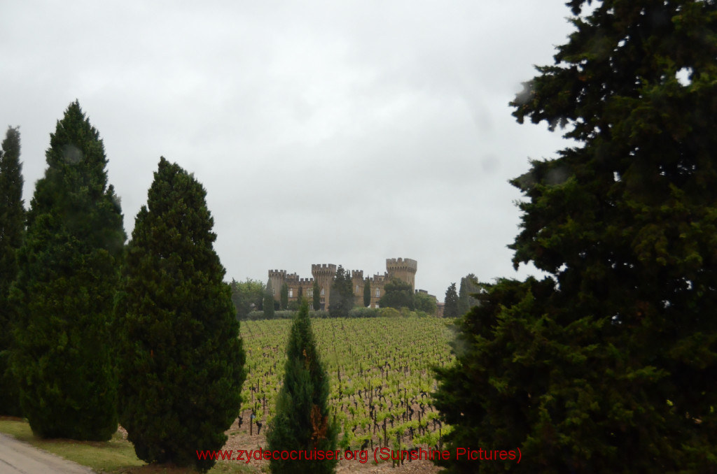 103: Carnival Sunshine Cruise, Marseilles, Châteauneuf Du Pape & Avignon Tour, Chateauneuf du Pape Vineyards, 