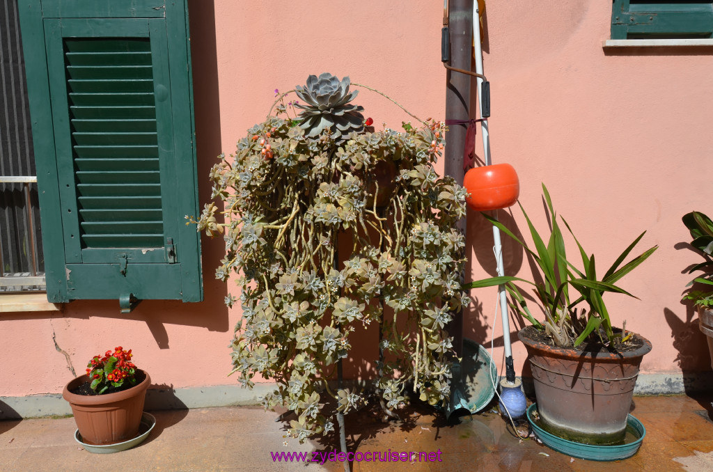 144: Carnival Sunshine Cruise, La Spezia, Cinque Terre Tour, Manarola, Riomaggiore, 