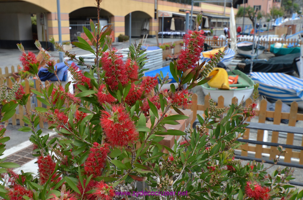 307: Carnival Sunshine Cruise, La Spezia, Cinque Terre Tour, Monterosso, 