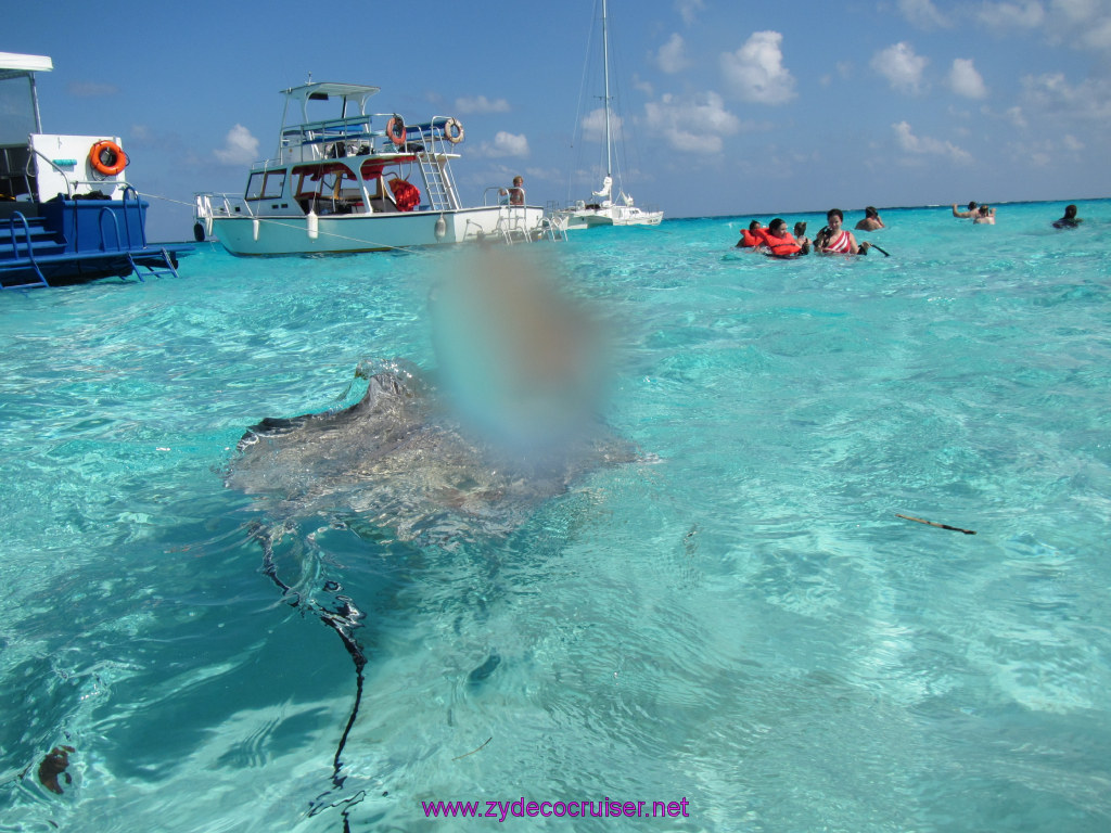 129: Carnival Sunshine Cruise, Nov 21, 2013, Grand Cayman, Sotos Cruises, Sting Ray Sandbar, 