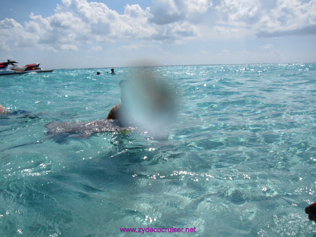 134: Carnival Sunshine Cruise, Nov 21, 2013, Grand Cayman, Sotos Cruises, Sting Ray Sandbar, 