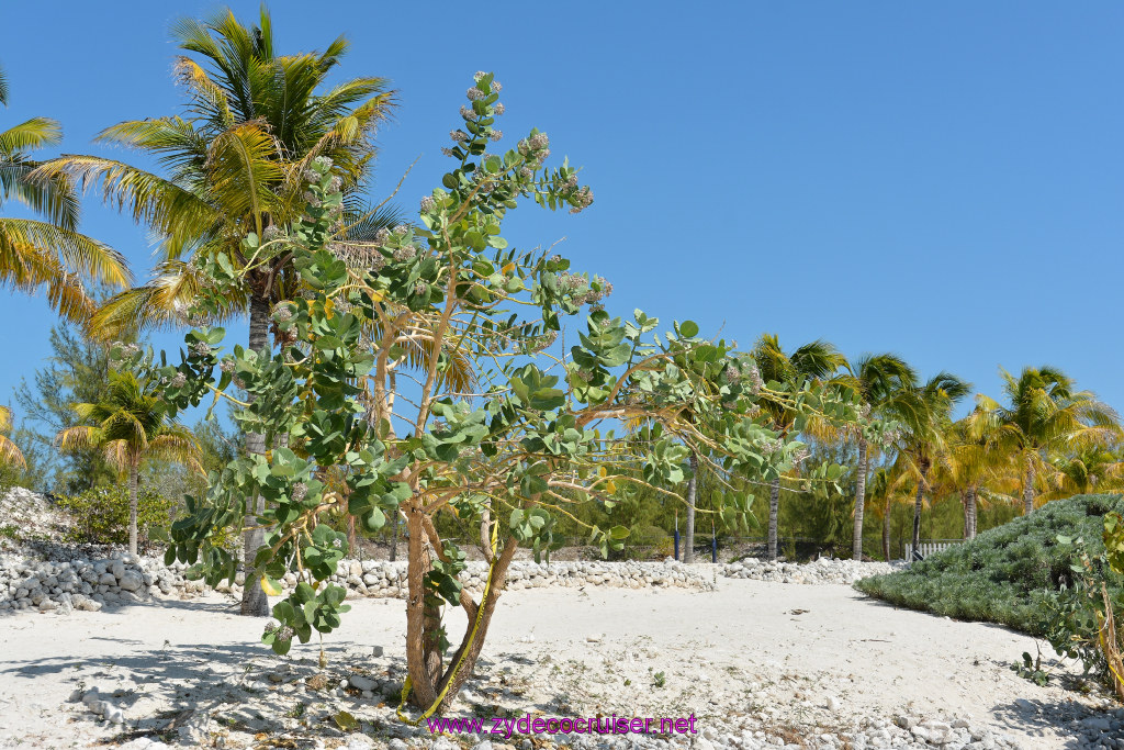 125: Carnival Sunshine Cruise, Grand Turk, 