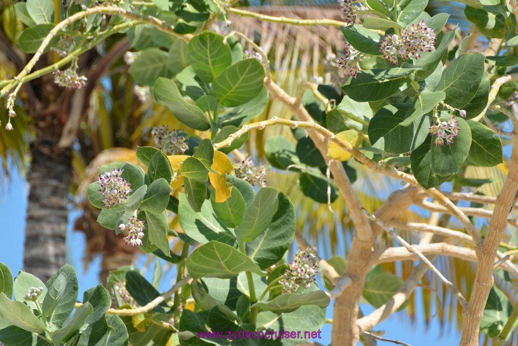 126: Carnival Sunshine Cruise, Grand Turk, 