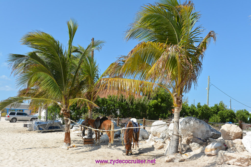 153: Carnival Sunshine Cruise, Grand Turk, 