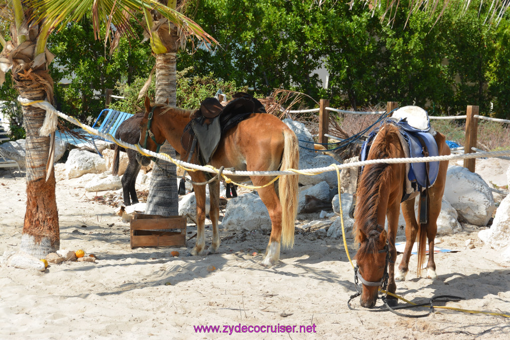 154: Carnival Sunshine Cruise, Grand Turk, 