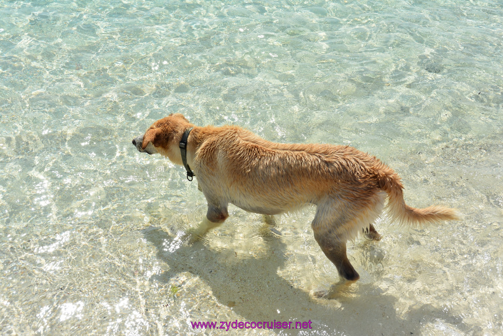 164: Carnival Sunshine Cruise, Grand Turk, 