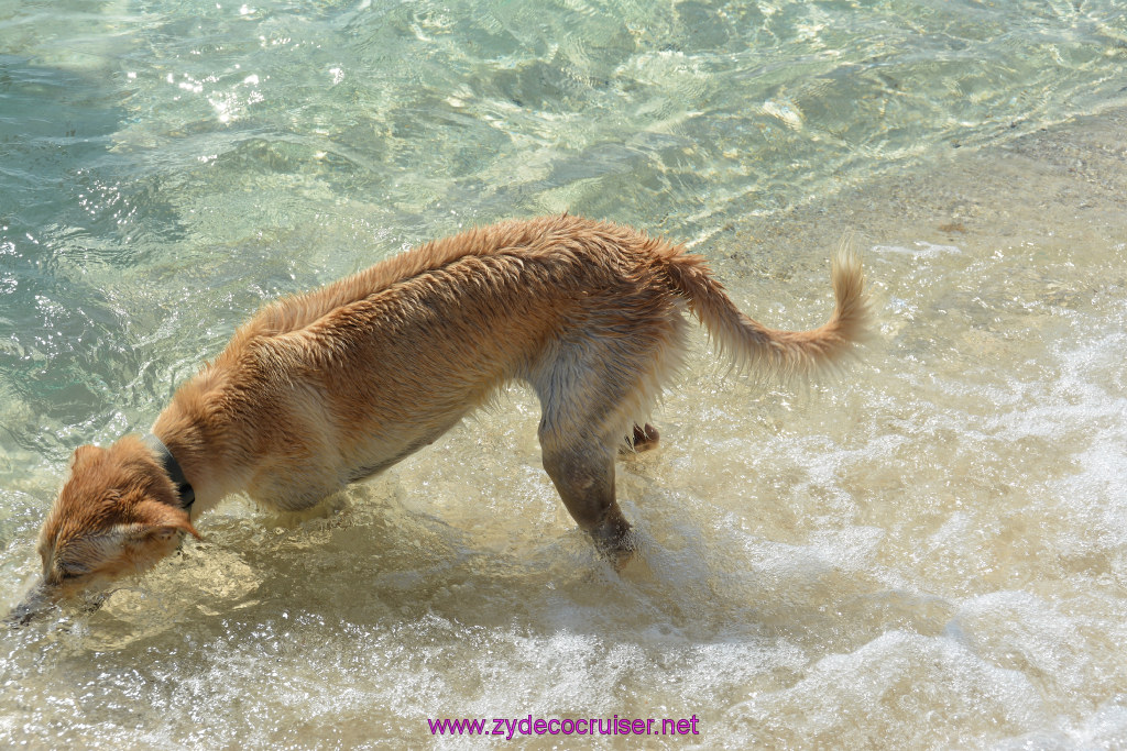 166: Carnival Sunshine Cruise, Grand Turk, 