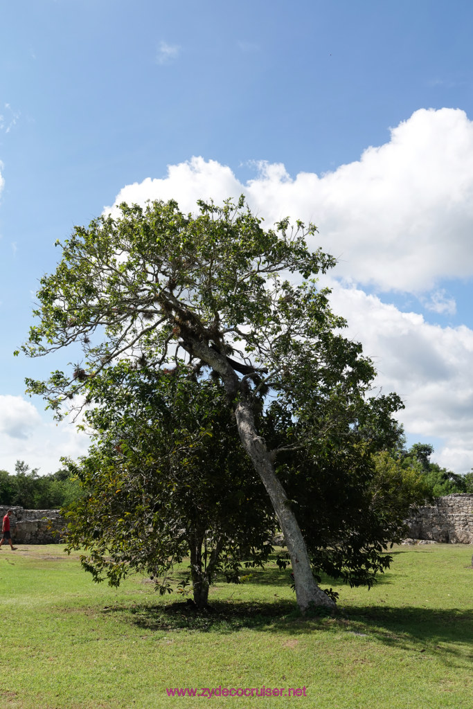 063: Carnival Valor Cruise, Progreso, The Ruins of Mayapan, 