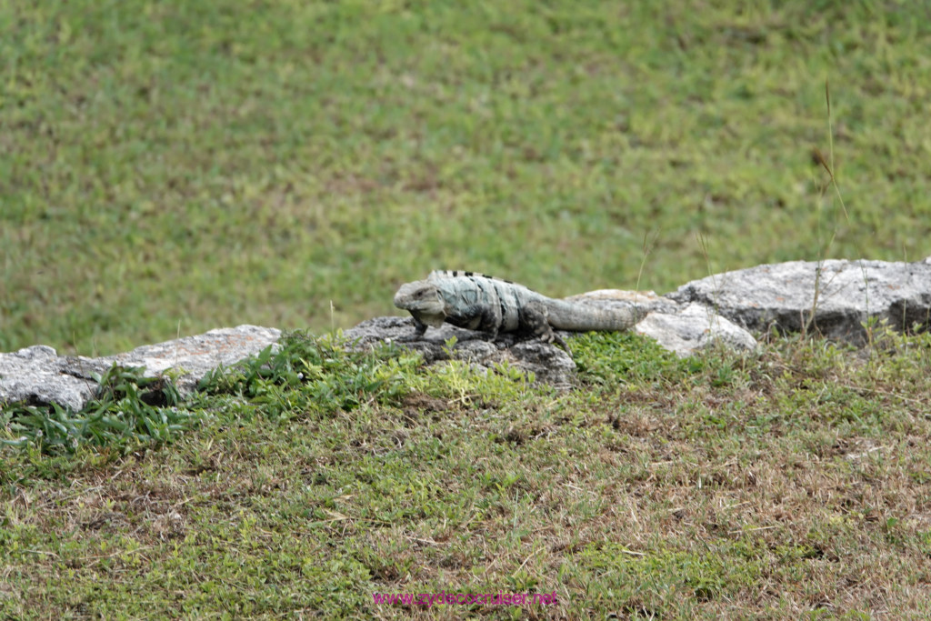 183: Carnival Valor Cruise, Progreso, The Ruins of Mayapan, 