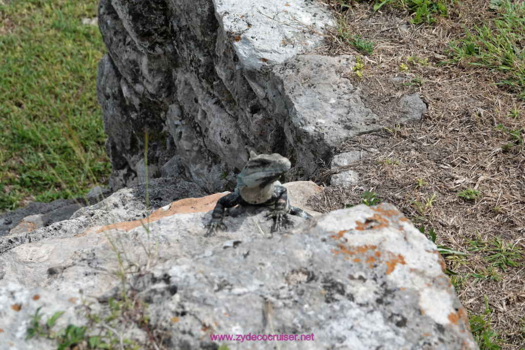 188: Carnival Valor Cruise, Progreso, The Ruins of Mayapan, 