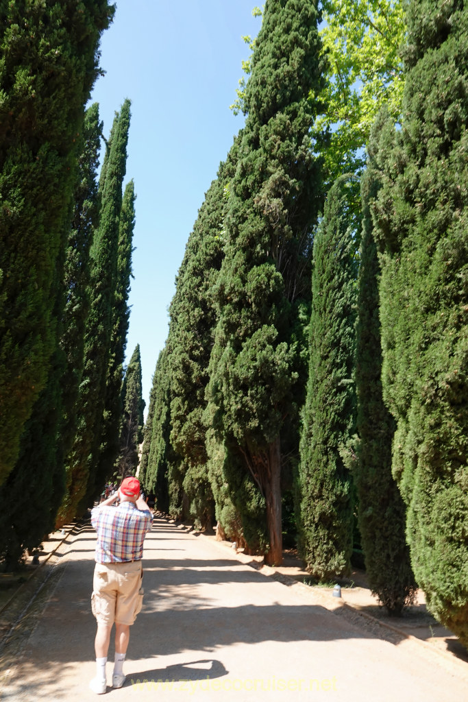 Carnival Venezia Transatlantic Cruise, Malaga, Granada, Alhambra