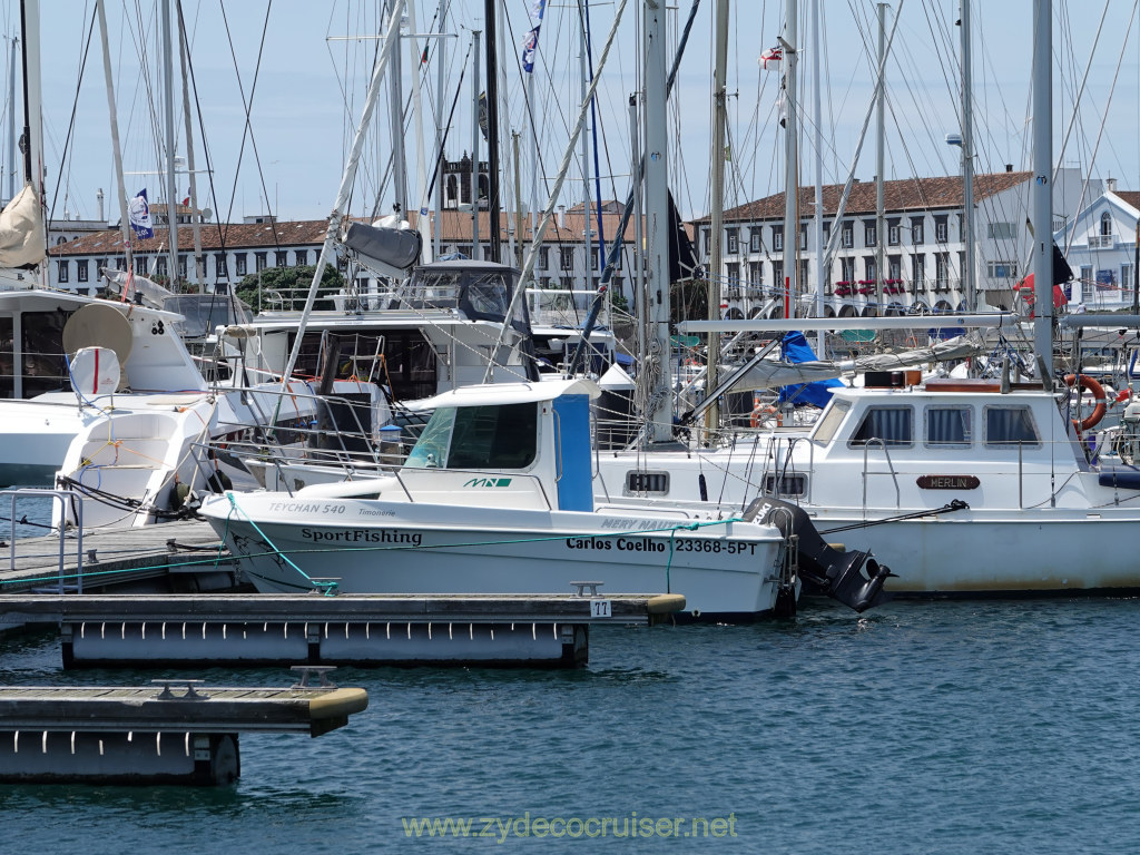 Carnival Venezia Transatlantic Cruise, Ponta Delgada, Moby Dick Whale and Dolphin Watching Tour, 