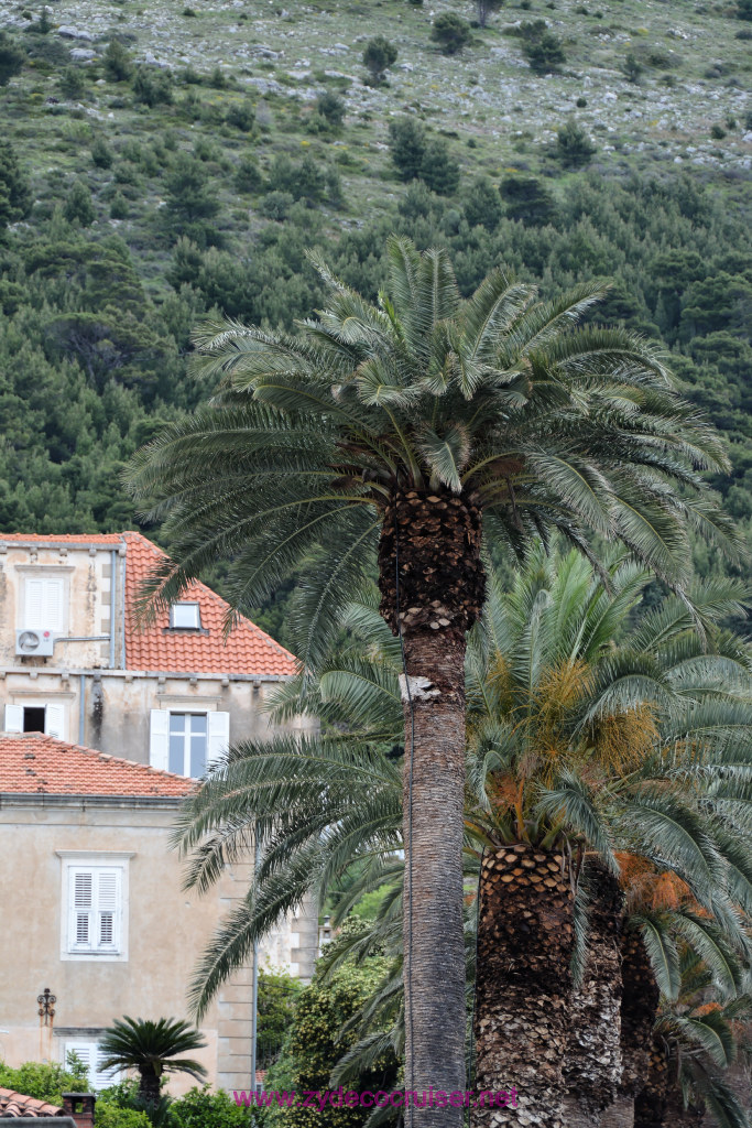 231: Carnival Vista Inaugural Voyage, Dubrovnik, 