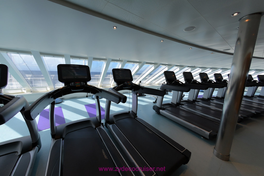 039: Carnival Vist Transatlantic Cruise, Sea Day 6, Gym