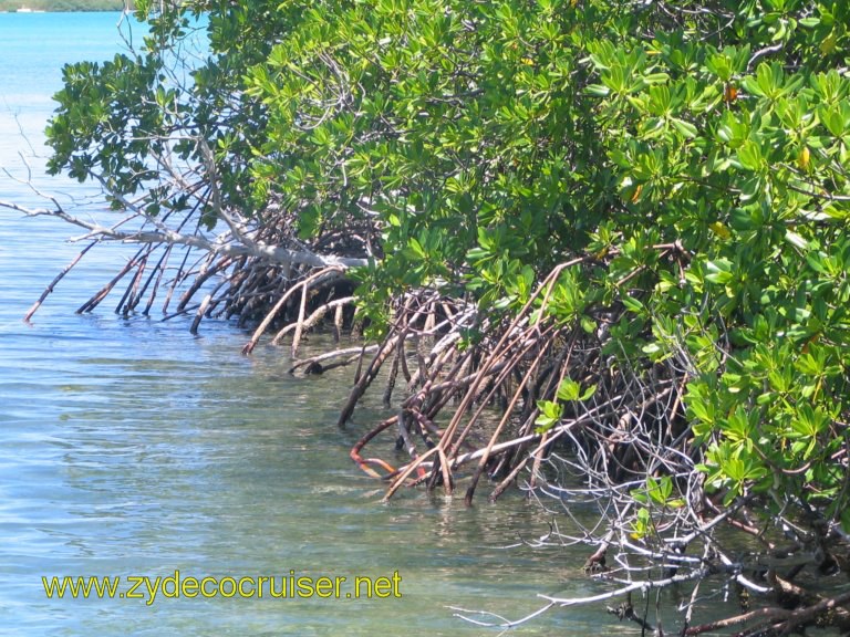 027: Carnival Liberty, Eli's Adventure Antigua Eco Tour, 