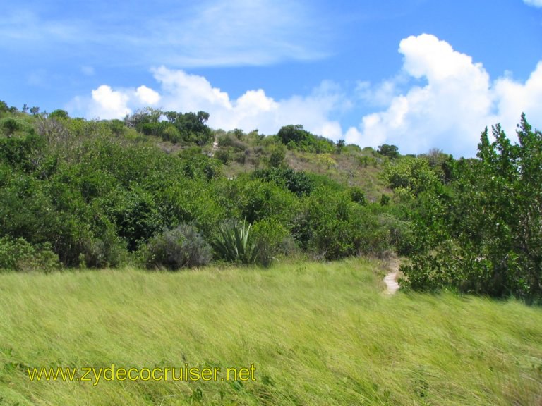 056: Carnival Liberty, Eli's Adventure Antigua Eco Tour, Looking back up