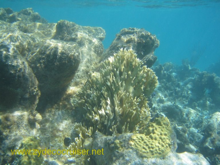 086: Carnival Liberty, Eli's Adventure Antigua Eco Tour, Time for some real snorkeling But don't want to give it all away, so you'll just have to try for yourselves!