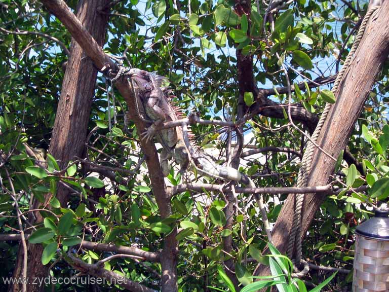 007: Sailing Yacht Arabella - British Virgin Islands - 