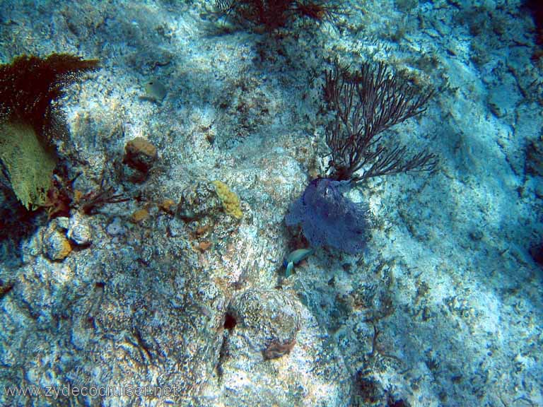 082: Sailing Yacht Arabella - British Virgin Islands - Snorkeling at The Indians