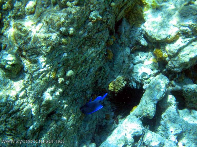 083: Sailing Yacht Arabella - British Virgin Islands - Snorkeling at The Indians