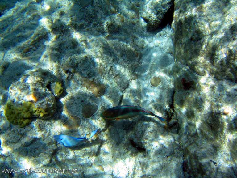 084: Sailing Yacht Arabella - British Virgin Islands - Snorkeling at The Indians