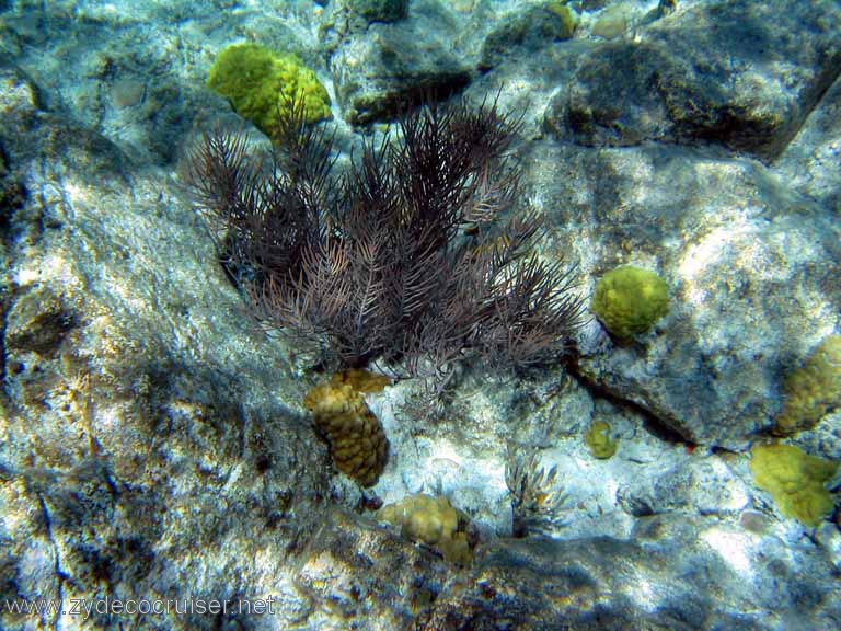 087: Sailing Yacht Arabella - British Virgin Islands - Snorkeling at The Indians