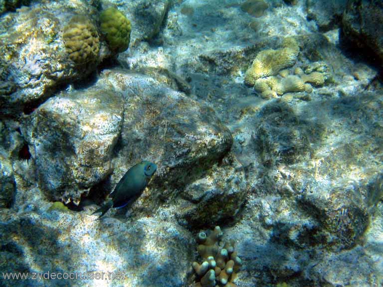 088: Sailing Yacht Arabella - British Virgin Islands - Snorkeling at The Indians