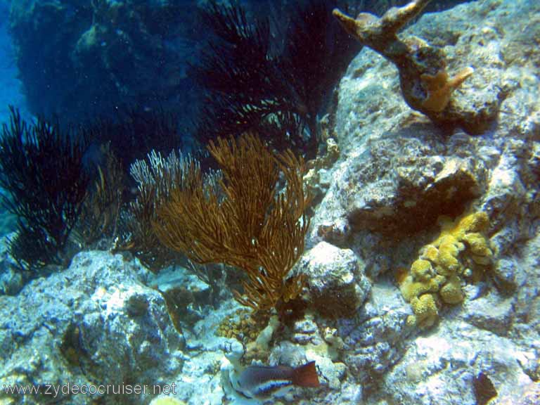 090: Sailing Yacht Arabella - British Virgin Islands - Snorkeling at The Indians