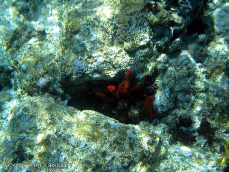 092: Sailing Yacht Arabella - British Virgin Islands - Snorkeling at The Indians