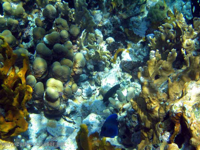 094: Sailing Yacht Arabella - British Virgin Islands - Snorkeling at The Indians